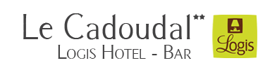Logis Hôtel Le Cadoudal** - Auray